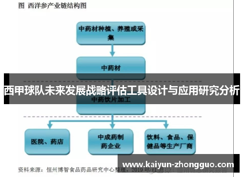 西甲球队未来发展战略评估工具设计与应用研究分析