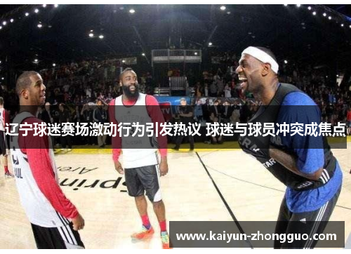 辽宁球迷赛场激动行为引发热议 球迷与球员冲突成焦点