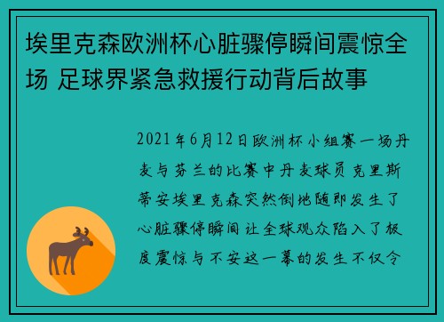 埃里克森欧洲杯心脏骤停瞬间震惊全场 足球界紧急救援行动背后故事